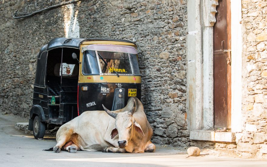 Rikšáři jsou nekonečnou studnicí nápadů, jak obrat naivní turisty, Indie