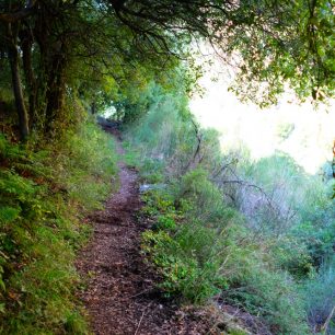 Údolí Qadisha, Libanon 