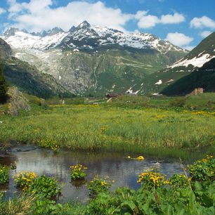Steingletscher, Švýcarsko