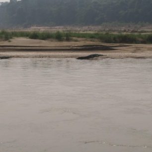 Krokodýli na břehu, Nepál