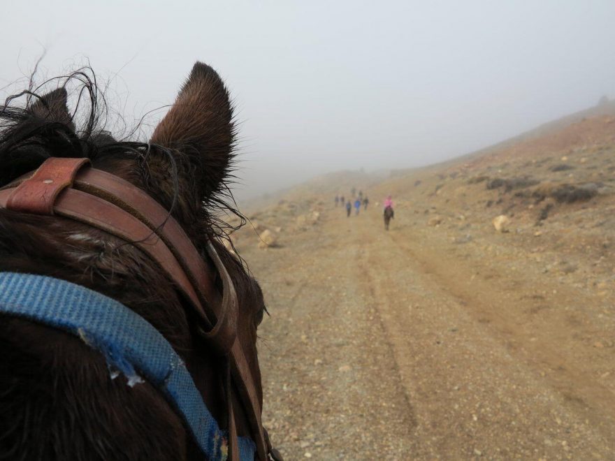 Poušť, Irán, Blízký východ