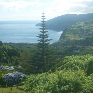 Typický výhled z Miradouro, kterých je kolem hlavního ostrova jak nasetých, Azorské ostrovy