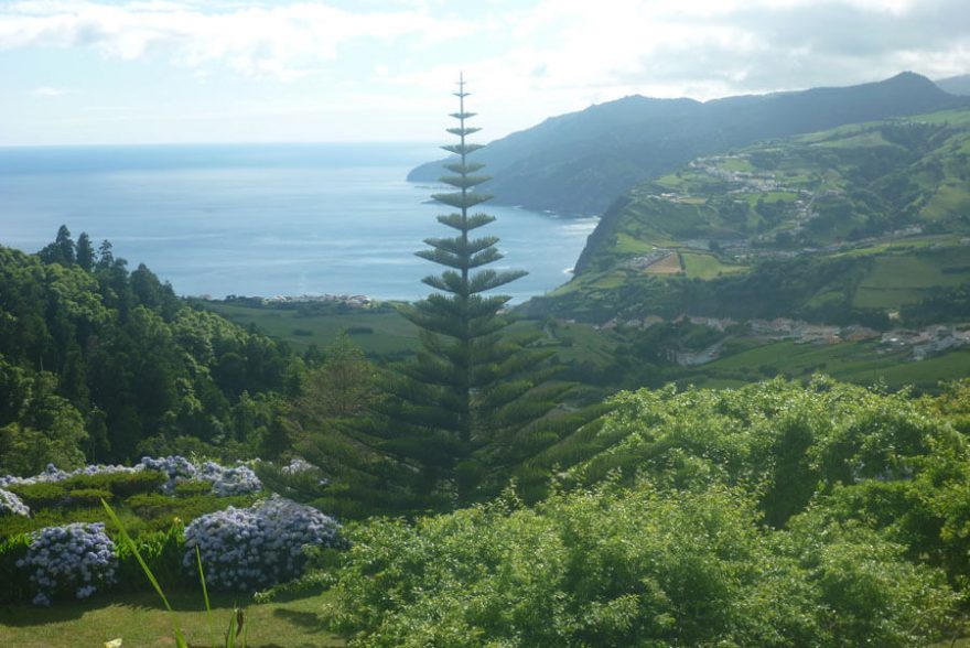 Typický výhled z Miradouro, kterých je kolem hlavního ostrova jak nasetých, Azorské ostrovy