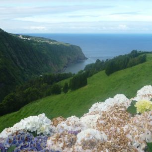 Dominantním rysem Azorských ostrovů jsou všudypřítomné hortenzie, Azorské ostrovy