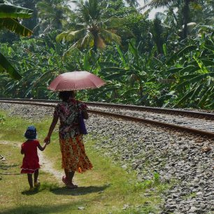 Cesta do školky, Srí Lanka