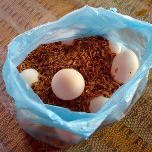 Prodej vajíček ve slupkách z obilí, Srí Lanka