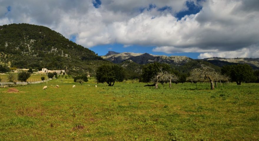 Areál Finca Gabellí petit, Mallorca, Španělsko