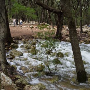 Jeden z pramenů, Ses Fonts Ufanes, Mallorca, Španělsko