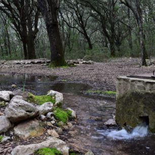 Prameny kolem cesty, Mallorca, Španělsko