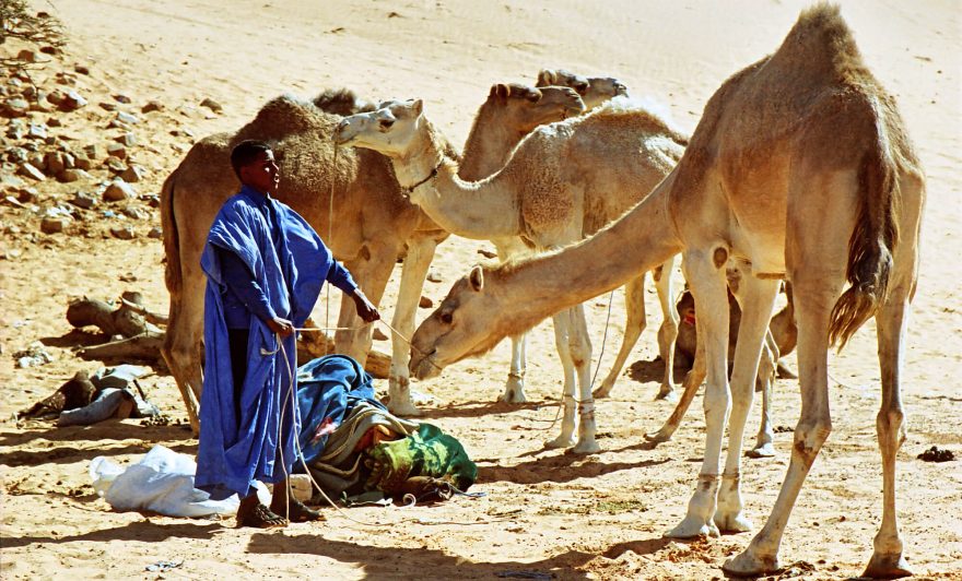 Místní lidé, Mauretánie, Afrika 