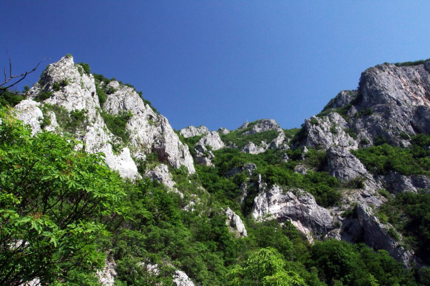 Ovčarsko–kablarská soutěska, Srbsko