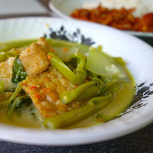 Kari s tofu - Indonésie