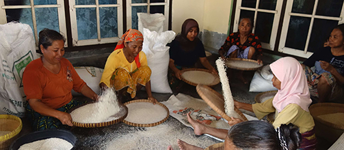 Máte rádi kari? Jsou tu čtyři recepty na výborná a chuťově zajímavý kari z Jihovýchodní Asie