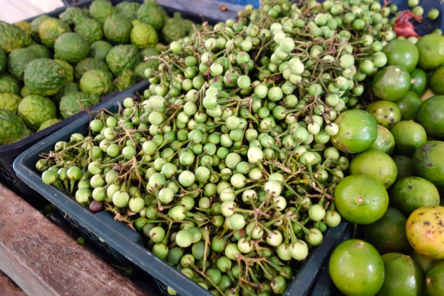 Prodej lilku na tržišti v Thajsku