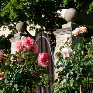 Zahradnická výstava Altzella (c) Heintje Ittmann