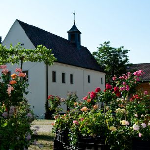 Zahradnická výstava Altzella (c) Heintje Ittmann