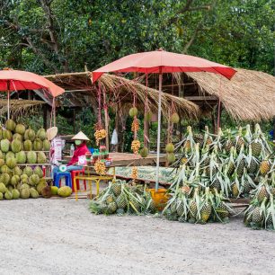 Pouliční stánky se sezónním zbožím, v květnu ananasem a duriane, Pakse, Laos