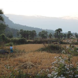 Krásné ráno, JV Asie