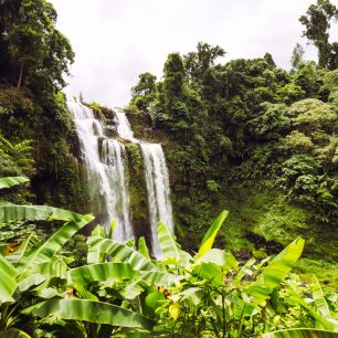 Tad Yuang, Bolavenská plošina, Laos