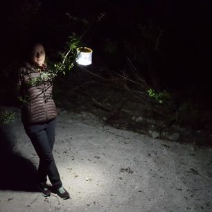 Lampičku můžete pověsit i na strom