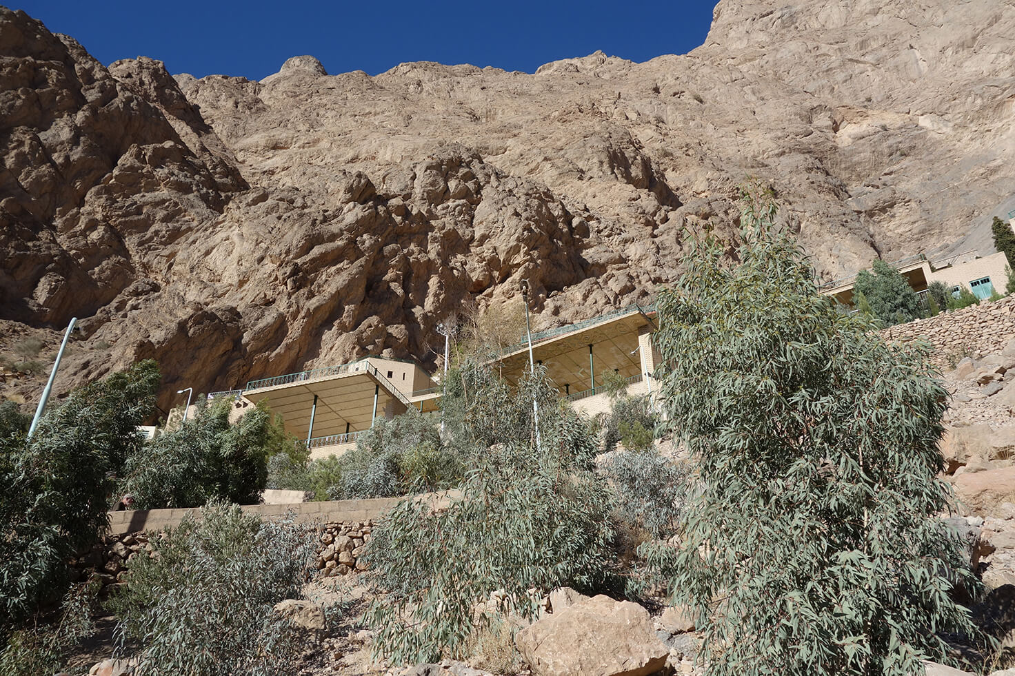 Baobab - král stromů