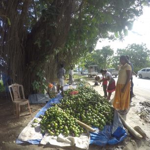 Avokado, Srí Lanka