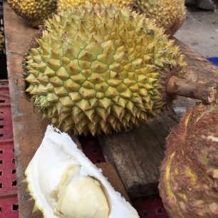 Durian - asijské smradlavé ovoce, Srí Lanka