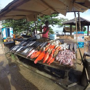 Rybí trh, Srí Lanka