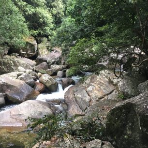 Řeka v Meemure, Srí Lanka