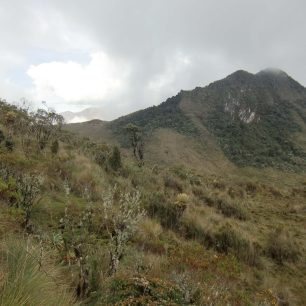 Ekosystém páramo v NP Los Nevados, Kolumbie