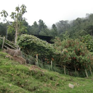 Farma Finca la Montaňa, Kolumbie