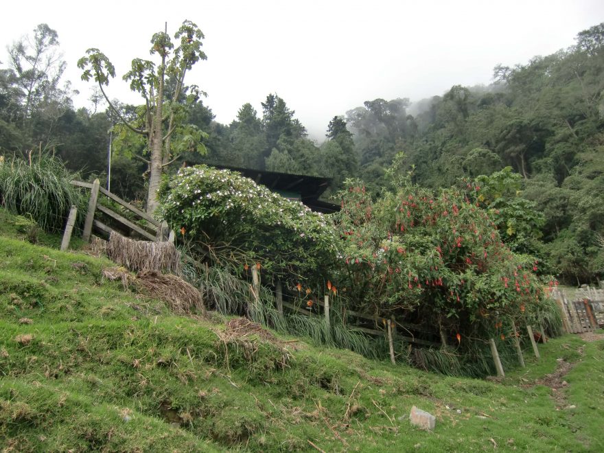 Farma Finca la Montaňa, Kolumbie
