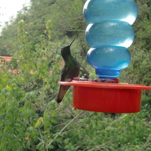 Kolibří farma, Kolumbie