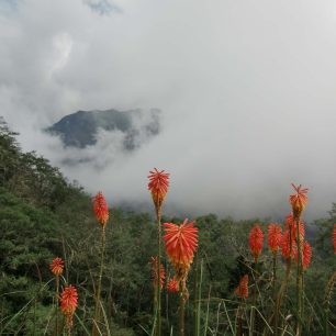 Výhled z farmy Finca la Montaňa, Kolumbie