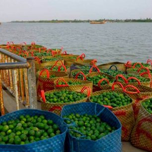 Plovoucí trh s limetkami na Mekongu ve Vietnamu