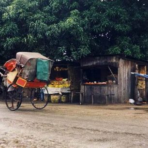 Rikši na ostrově Madagaskar