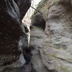 Tesárská roklina působí občas divokým a nepřístupným dojmem.