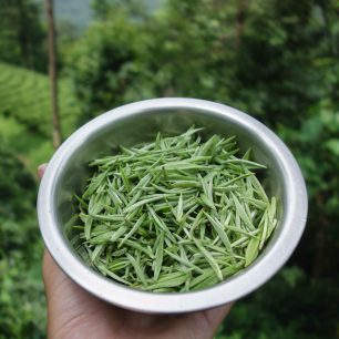 Miska čerstvě nasbíraných pupenů na bílý čaj, Ilám, východní Nepál