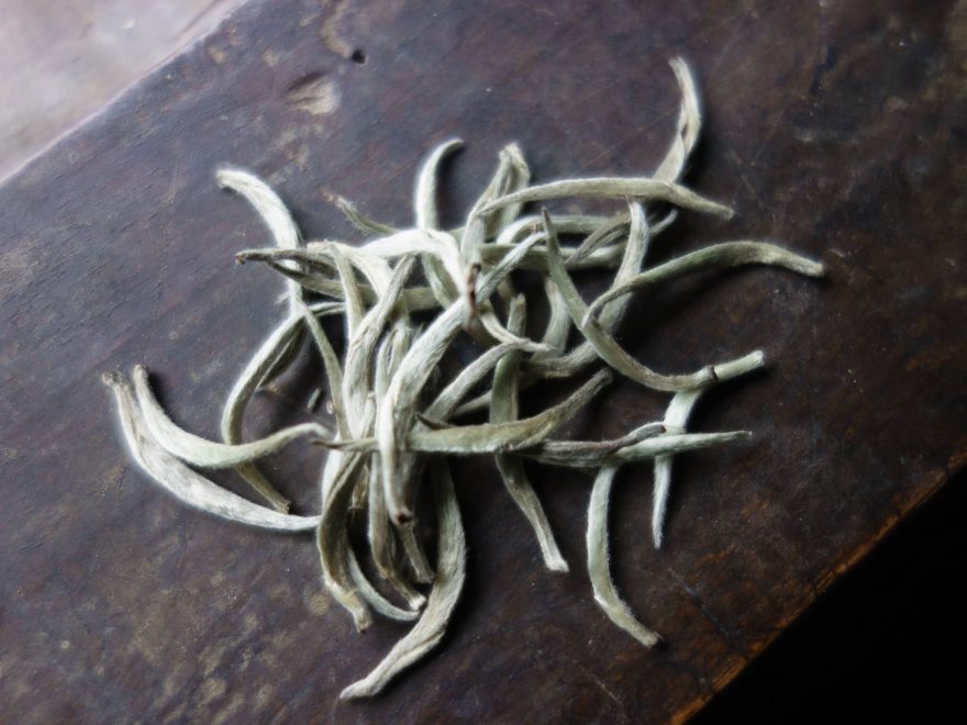 Hotový bílý čaj, Ilám, východní Nepál