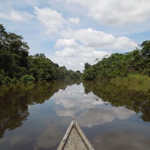 Amazonie, Kolumbie