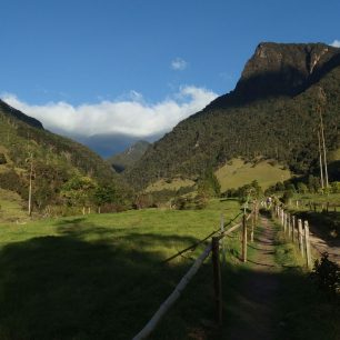 Valle de Cocora, Kolumbie