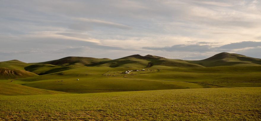 Tráva nemá šanci nikdy vyrůst, okamžitě je spasena dobytkem, Charchorin, Mongolsko