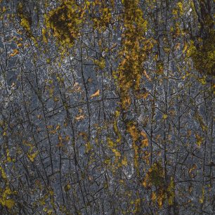 Burren National Park, Irsko