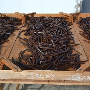 Tobolky vanilky od jednotlivých farmářů se suší zvlášť, protože mají často i rozdílnou kvalitu. Reunion