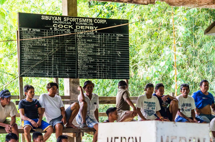 Tabulka kohoutích derby, Cajidiocan, Filipíny