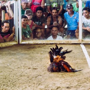 Diváci zapáleně sledují zápas, Cajidiocan, Filipíny
