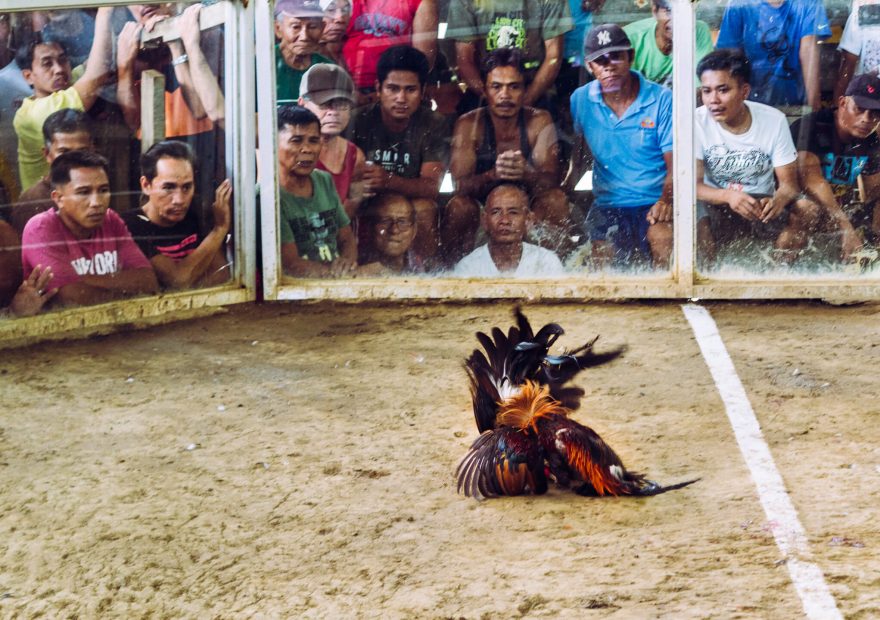 Diváci zapáleně sledují zápas, Cajidiocan, Filipíny