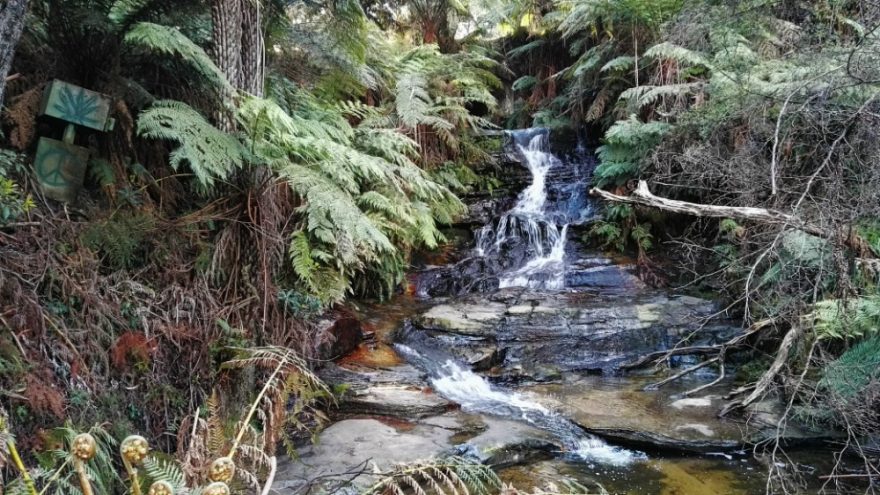 Potok, Modré Hory, Austrálie