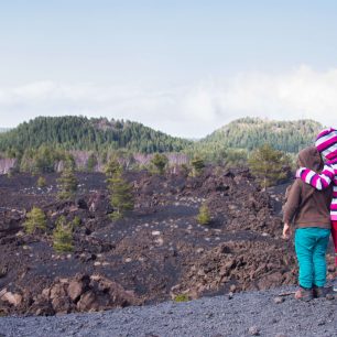 Na cestě s dětmi, Nový Zéland