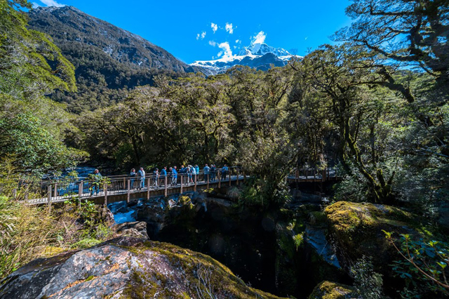 Mezi Queenstown a Milford, Nový Zéland